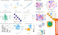 create figures and charts using rstudio