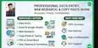 do expert excel data entry, copy paste and web research