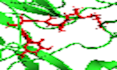 molecular docking, virtual screening and protein ligand interaction analysis