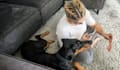 create real and organic german ugc pet content
