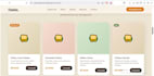 design and develop a modern responsive presentation website