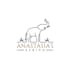 design a unique modern elephant logo for business, brand and company