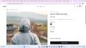 develop a professional front end and back end website