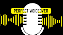 professional ai voice agent