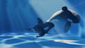 create cinematic 3d underwater animation