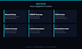 do a professional web application and API penetration test
