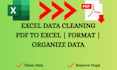 convert PDF to excel and clean the data professionally