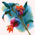 illustrate best botanical illustration