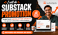 do substack promotion substack newsletter organic substack subscribers