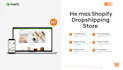 build a branded shopify dropshipping store ready for sales