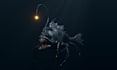 create a game ready 3d creature or monster model