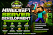 develop, setup and optimize your minecraft server professionally