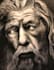 create a realistic hand drawn portrait