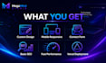 create a modern bilingual business website