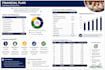 write a professional business plan, startup plan,