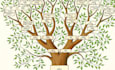 create a professional custom family tree design
