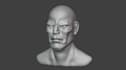 sculpt a detailed 3d head in blender