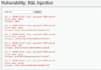 do web application penetration testing and security audit