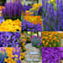 do your landscape design