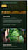 create a beautiful web site