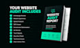 audit your wordpress website and provide an action plan