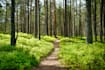 ton plan entrainement trail running personnalisé