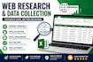 do web research, data collection, and excel data entry