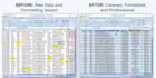 clean, format your excel contact database