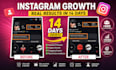 grow your instagram organically with targeted followers