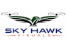 make new style unique sky hawk visuals vintage logo design