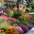 do your landscape design