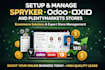 setup and manage spryker, odoo, oxid, and plentymarkets stores