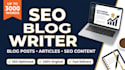 write SEO optimized blog posts and website articles