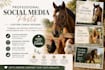 make professional canva social media posts for your business