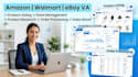 provide amazon, walmart and ebay VA services