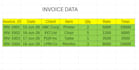 convert PDF to excel data entry