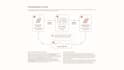 a professional powerpoint presentation and pitch deck