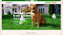 design a professional dog training website