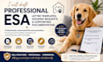 prepare esa letter templates emotional support animal documentation