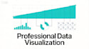 create professional data visualization and charts