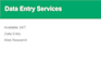 professional data entry excel services