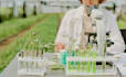 write professional agriculture, and agronomy articles