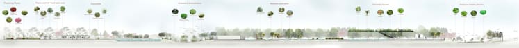 design garden , backyard , 3d visualization , landscaping