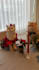 create engaging cat ugc videos for your pet brand