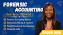 provide forensic accounting, financial analysis, case assessment services