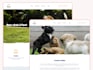 design and build your website on tilda or webflow