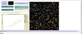 do agent based traffic simulation using netlogo