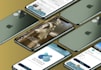 design websites and mobile apps