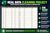 do excel data cleaning, formatting and data cleanup