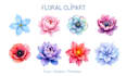 create custom watercolor clipart sets and icons